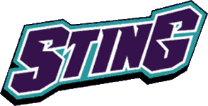 Charlotte Sting 1997-2003 Wordmark Logo iron on heat transfer